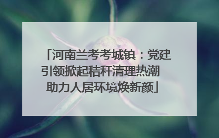 河南兰考考城镇：党建引领掀起秸秆清理热潮 助力人居环境焕新颜