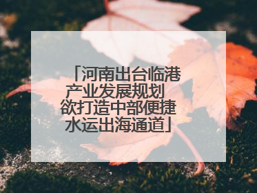 河南出台临港产业发展规划 欲打造中部便捷水运出海通道