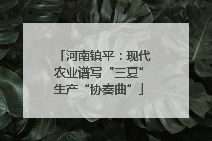 河南镇平：现代农业谱写“三夏”生产“协奏曲”