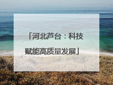 河北芦台：科技赋能高质量发展