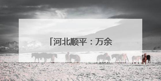 河北顺平：万余亩鲜杏采收忙