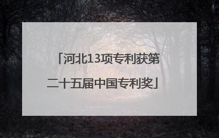 河北13项专利获第二十五届中国专利奖