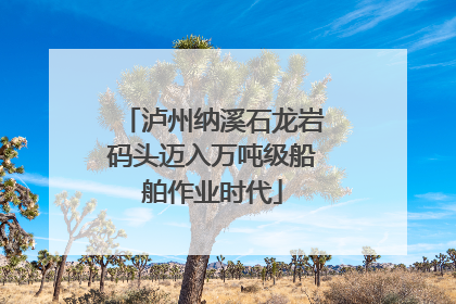 泸州纳溪石龙岩码头迈入万吨级船舶作业时代