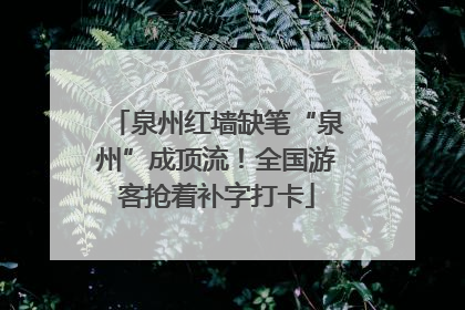 泉州红墙缺笔“泉州”成顶流！全国游客抢着补字打卡