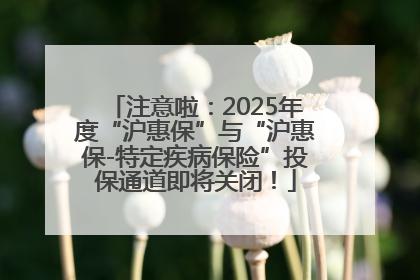 注意啦：2025年度“沪惠保”与“沪惠保-特定疾病保险”投保通道即将关闭！