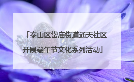 泰山区岱庙街道通天社区开展端午节文化系列活动