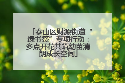 泰山区财源街道“绿书签”专项行动：多点开花共筑幼苗清朗成长空间