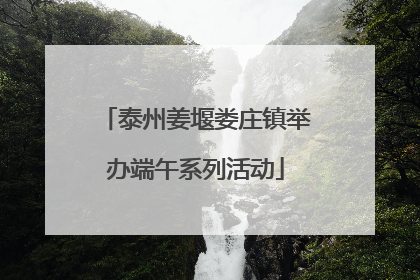 泰州姜堰娄庄镇举办端午系列活动
