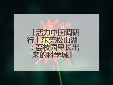 活力中国调研行丨东莞松山湖：荔枝园里长出来的科学城