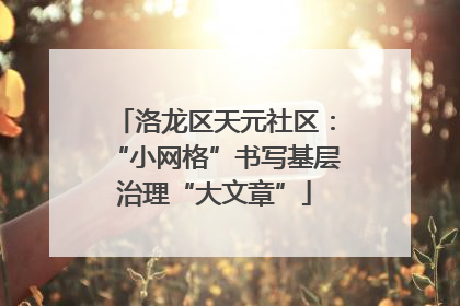 洛龙区天元社区：“小网格”书写基层治理“大文章”