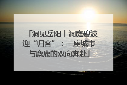 洞见岳阳丨洞庭碧波迎“归客”：一座城市与麋鹿的双向奔赴