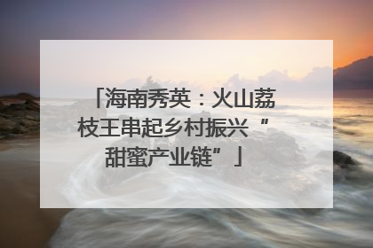 海南秀英：火山荔枝王串起乡村振兴“甜蜜产业链”