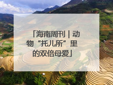 海南周刊｜动物“托儿所”里的双倍母爱