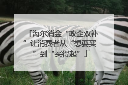 海尔消金“政企双补”让消费者从“想要买”到“买得起”