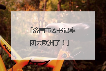 济南市委书记率团去欧洲了！