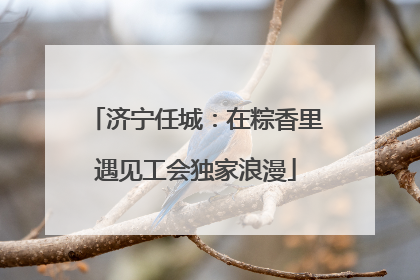 济宁任城：在粽香里遇见工会独家浪漫