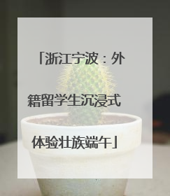 浙江宁波：外籍留学生沉浸式体验壮族端午