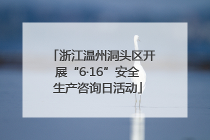 浙江温州洞头区开展“6·16”安全生产咨询日活动