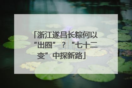 浙江遂昌长粽何以“出圈”？“七十二变”中探新路