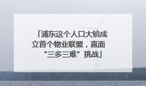 浦东这个人口大镇成立首个物业联盟，直面“三多三难”挑战