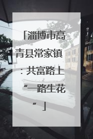 淄博市高青县常家镇：共富路上“一路生花”