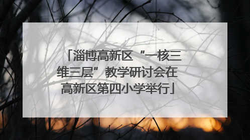 淄博高新区“一核三维三层”教学研讨会在高新区第四小学举行
