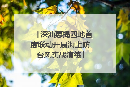 深汕惠揭四地首度联动开展海上防台风实战演练