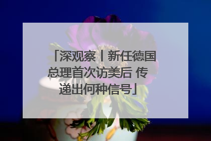 深观察丨新任德国总理首次访美后 传递出何种信号
