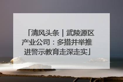 清风头条｜武陵源区产业公司：多措并举推进警示教育走深走实