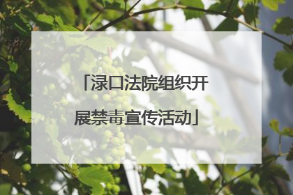 渌口法院组织开展禁毒宣传活动