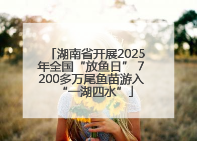 湖南省开展2025年全国“放鱼日” 7200多万尾鱼苗游入“一湖四水”