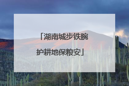 湖南城步铁腕护耕地保粮安