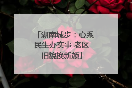 湖南城步：心系民生办实事 老区旧貌换新颜
