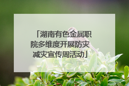 湖南有色金属职院多维度开展防灾减灾宣传周活动