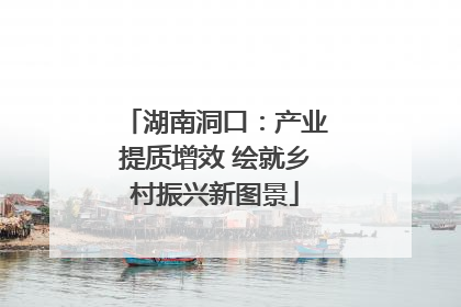 湖南洞口：产业提质增效 绘就乡村振兴新图景