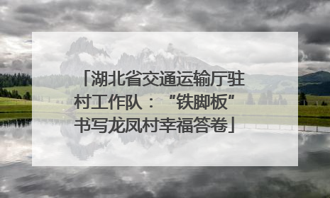 湖北省交通运输厅驻村工作队：“铁脚板”书写龙凤村幸福答卷