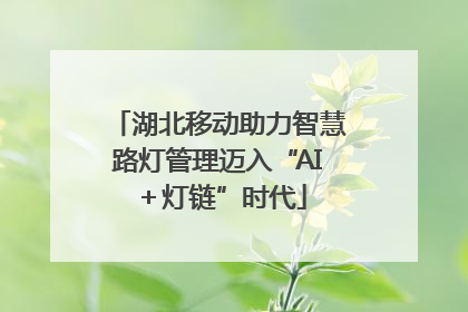 湖北移动助力智慧路灯管理迈入“AI＋灯链”时代