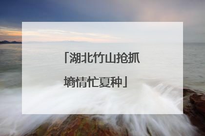 湖北竹山抢抓墒情忙夏种