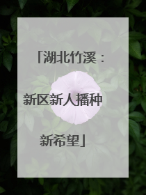 湖北竹溪：新区新人播种新希望