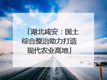 湖北咸安：国土综合整治助力打造现代农业高地