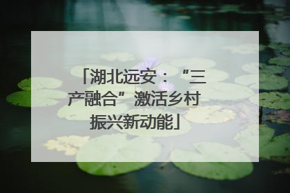 湖北远安：“三产融合”激活乡村振兴新动能