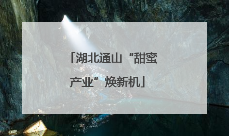 湖北通山“甜蜜产业”焕新机
