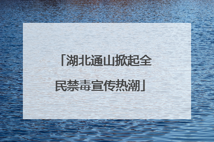 湖北通山掀起全民禁毒宣传热潮