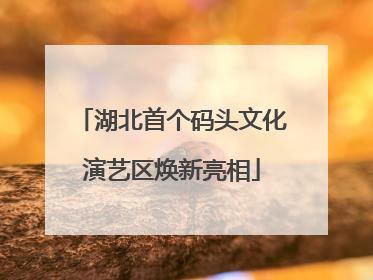 湖北首个码头文化演艺区焕新亮相