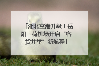 湘北空港升级！岳阳三荷机场开启“客货并举”新航程