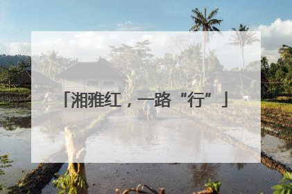 湘雅红，一路“行”