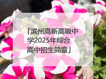 滨州高新高级中学2025年综合高中招生简章
