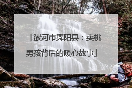 漯河市舞阳县：卖桃男孩背后的暖心故事