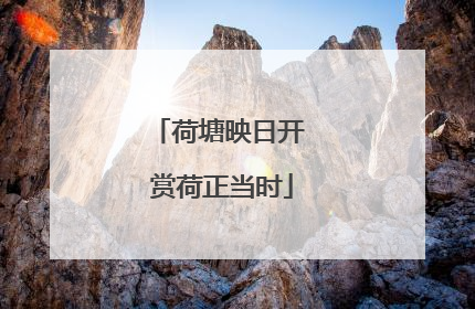 荷塘映日开 赏荷正当时