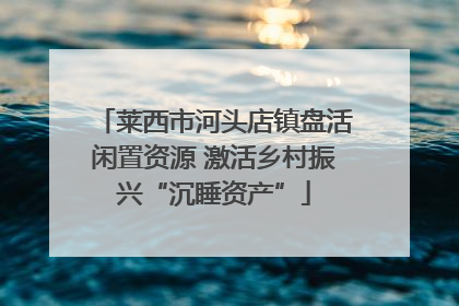 莱西市河头店镇盘活闲置资源 激活乡村振兴“沉睡资产”